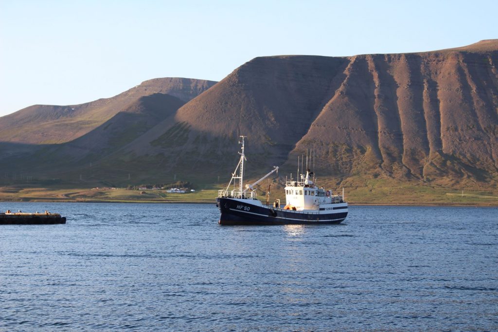 Kvöldsigling á Þingeyri Bæjarins Besta